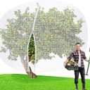 10 x 14 FT Large Fruit Tree Netting Bags Garden Plant Protector with Zipper and Drawstring Blueberry Bushes Netting Covers Plant Protection Mesh Net Bags from Insect Bug Cicada
