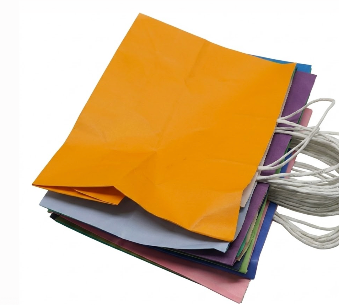 Multi-Color Kraft Paper Gift Bag Set with Twisted Handles