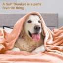 DREAMNINE Super Soft Fuzzy Fleece Throw Blanket for Couch Sofa 50" x 60", Decorative Solid Lightweight Velvet Blanket for Chair, Cozy Accent Shaggy Micro Plush Flannel Blankets for Bedroom Dorm, Peach