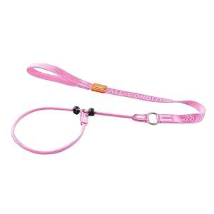 HOWGO Dog Slip Lead Dog Leash, Training Leash, Cinch Leash, No-Pull Slip Leash and Collar, Heavy Duty&Durable, Padded Handle, for All Breeds(Pink, 3.6FT)