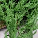 2PCS 9FT Christmas Garland Norfolk Pine Garland Real Touch Artificial Greenery Garland for Mantle Fireplace Table Indoor Outdoor Decor (9 ft (1 Pack- Young ))