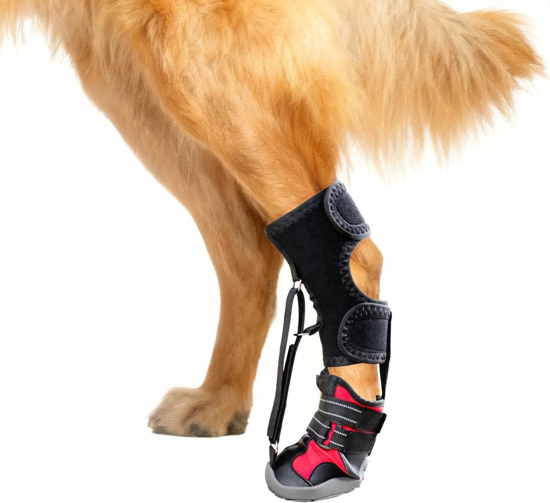 Dog Strap-On Drop Foot Orthotics (Knuckleless Boot Orthotics)  Dog Knee Pads,Corrective Dog Shoes That Safely Lift Toes, Relieve Foot Problems, Arthritis, and Improve Your Dog's gait (M)