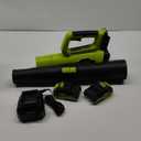 Leaf Blower, 21V Cordless Electric Blower with 2 2.0Ah Batteries and 1 Hour Fast Charger, Lightweight Leaf Blower for Patio Cleaning, Lawn Care, Blowing Fallen Leaves and Dust, etc. (Green)