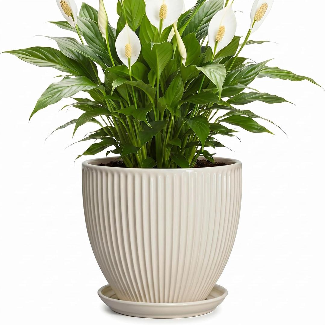 Ceramic Flower Pots, 8 Inch Plant Pot with Saucer, Cream White