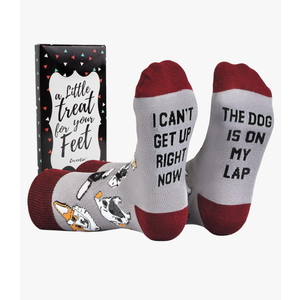 Cavertin Women's Novelty Socks with Gift Box Cat Lover Dog Mom Book Lover Cat Mom Llama Unicorn Sloth Corgi, One Size