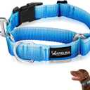 Arblina Martingale Collar for Dogs Large  Heavy Duty Buckle Dog Collar with Tag Ring Reflective Nylon Gradient Dog Collar No Pull Training Collar, L
