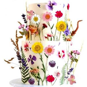 JeVenis Wildflower Cake Toppers Wildflower Decor Baby In Bloom Baby Shower Cake Toppers for Women Birthday Bridal Shower Wedding Party Decoration
