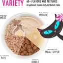 Tiki Cat Silver Mousse, with Salmon & Pumpkin in Broth, Silky Smooth Nutrient Rich Formulated for Older Cats Aged 11+, 2.9 oz. Pouch (12 Count) (EXP 03/14/27)