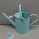 1 Gallon Metal Watering Can Outdoor, Flower Plant Gardening Garden Large Watering Can Pot,  Handles and Removable Spray Spout, Blue