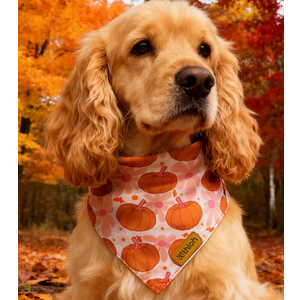 THLOH Fall Dog Bandanas - 1 Halloween Thanksgiving Dog Bandana | Reversible Pumpkin and Leaf Pet Scarf | Premium Durable Fabric | Boys & Girls | Holiday Bandana for Medium and Large Dogs (Large)