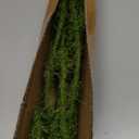 Fake Moss Ficus Twig Plants Faux Branches for Vase Filler Artificial Greenery Stems Silk Moss Green Plants for Home Office Party Wedding Shop Decoration