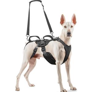 Dog Lift Harness for Large/Medium Dogs, Dog Support & Recovery Sling for Full-Body & Hind/Front Leg  Pee-Able Design  All-in-One Ideal Assistance for Senior, Disabled, Arthritic & ACL Canines (XL)