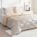 Sherpa Comforter Set Queen Size 80 * 80", All Season Soft Warm Fleece Spring Fall Blanket Filled with Lightweight Microfiber, Winter College Dorm Bedding Sets with 2 Pillow Sham