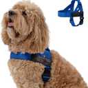 Dog Friendly Co. Dog Harness | Chafe Resistant Webbing, Adjustable Neck & Chest, and Heavy Duty D-Ring | Sturdy, Comfortable, Easy to Use | Classic Blue, Size M