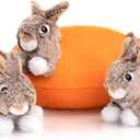 Hollypet Hide and Seek Squeaky Dog Toy, Designed Interactive Puzzle Plush Stuffed Puppy Toy, Rabbit and Carrot