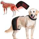 Dog Hip Brace with Red Infrared Light Therapy Pain Relief for Arthritis, Hip Dysplasia, Spine Issues & Muscle Recovery, Portable & Cordless, Patent Pending(Male Dog, XL)
