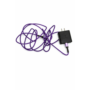 20W Type C Fast Charging Block, 6ft Android Phone Charger Cable for Samsung Galaxy A16 A15 A14 5G A54 A35 A53 A13 S25 S24 S23, USB C Pixel 10 9 Pro XL Fast Wall Charger for Google Pixel 9a 8a 7a 6 Pro (Purple)