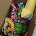 Zeaxuie 25 Pack Luxury Dog Chew Toys for Puppy, Dog Toys with Ropes, Treat Ball and Squeaky Puppy Toys for Teething Small Dogs