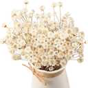 WILLBOND 200 Pcs Natural Dry Flowers White Mini Dried Star Daisy Floral Decorative Chamomile Bouquet for Wedding Floral Arrangements Home Vase Decorations