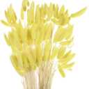 MECCANIXITY 120pcs Natural Rabbit Bunny Tails Dried Flowers 24" Mini Pampas Grass Lagurus Ovatus Bunch for Floral Wedding Decor Christmas, Lemon Yellow