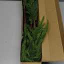 12Pcs 24 Inch Real Touch Norfolk Pine Stems, Artificial Green Plants Branches, Faux Greenery Pine Stem Fake Cedar Picks for Vase, Christmas Pine Branches for DIY Crafts Home Indoor Decor