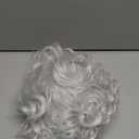 ColorGround Old Lady Granny Silver White Curly Wig 100 Days of School (Silver White Curly)