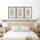 TQianJiang Set Of 3 Framed Vintage Botanical Prints Wall Art 16"11" Wildflower Pictures Wall Decor for Bedroom Bathroom Living Room Minimalist Line Drawing Neutral Tones Wall Hanging (Black)