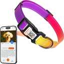 Personalized Dog Collars for Small Dogs, Reflective Dog Collar QR Code Name Tags, Soft Nylon, (Purple-Yellow Gradient, Small)