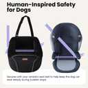 Lesure Safety Small Dog Car Seat,Calming Pet Booster Car Seat Under 25lbs