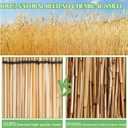 Natural Reed Fencing,Privacy Fence Bamboo-Like Reed Screen Curtain Natural Fencing for Garden,Balcony,Outdoor,Backyard Patio Decors Fence Rolls-Yellow,3FT X 13.1FT