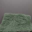 PAGISOFE Machine Washable Sage Green Rugs for Bedroom, 4x6 Ft Rectangle Fluffy Rug Plush Fuzzy Carpet for Kids Room, Green Rug Home Decor Aesthetic,Non-Slip Indoor Rugs for Nursery Decor Girls Boys