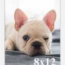 RUN HELIX 8x12 Picture Frames,Simple Designed Photo Frame,Certificate Document Frame for Horizontal and Vertical Formats,8x12 Poster Photo Frame Wall Gallery Home Office Decor,White