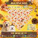 Fall Thanksgiving Dog Bandanas for All Dogs (2-Pack Triangle Reversible Pet Scarves) (Autumn Pumpkin Maple Leaves) Premium Fabric Holidays Bandana, X-Large Q