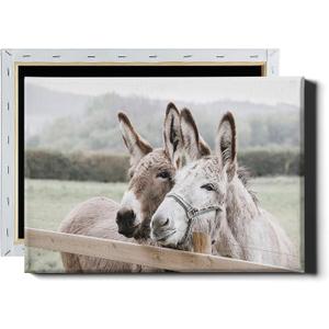 Farmhouse Donkey Wall Art Country Animal Pictures Cute Donkey Canvas Wall Art Funny Animal Paintings Rustic Farm Animals Poster Two Donkeys Picture Cute Animals Poster for Bedroom 16x24in with Frame