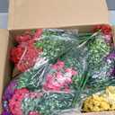 Hananona 2 Set Artificial Outdoor Flowers with Hanging Basket, 2 Hanging Planters with 24 Pcs Flowers for Spring Summer Front Porch Garden Patio Home Decor (2, Red, Purple, Yellow, Rose Red)