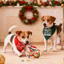 8 x Christmas Dog Bandanas Naughty & Nice Idea Funny Holiday Stocking Pet Scarf Gifts - On The Naughty List and I Regret Nothing, Solid Green, Extra Large Breed, 75lbs+