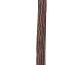 California Costumes Men's Shepherd's Staff (Brown)