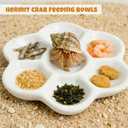 Hermit Crab Hideout Cave with Food Dishes & 2 Aquarium Plants – Underground Habitat Shelter for Terrarium or Tank Corner, Safe Textured Hide Decor for Hermit Crabs & Small Reptiles