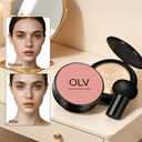Glow Cushion Foundation, Mushroom Head Air Cushion CC Cream, Lightweight Face Makeup Foundation Moisturizing BB Cream Foundation Brighten Long-Lasting Full Coverage for All Skin Types (Warm)
