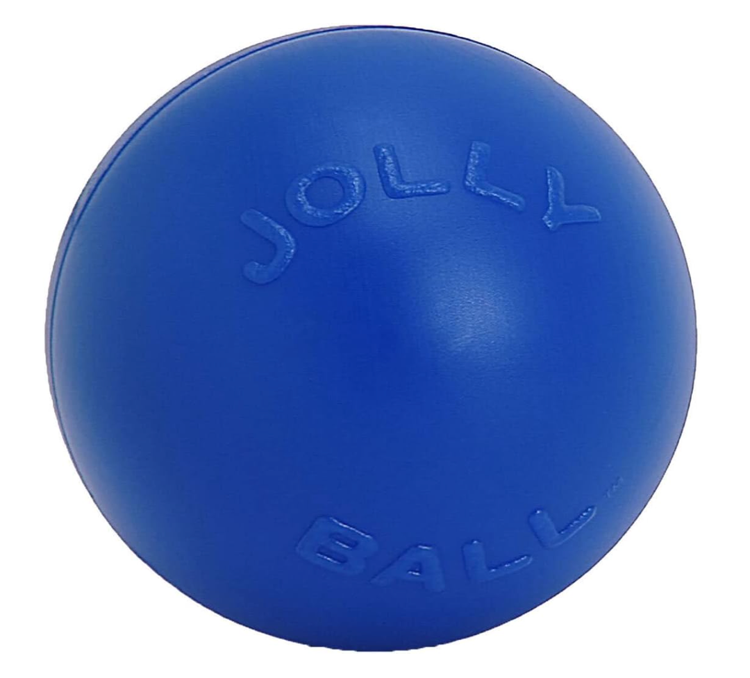 Jolly Pets Push-n-Play Ball Dog Toy, 10 Inches/Large, Purple