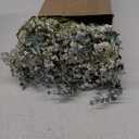 150 Pcs Babys Breath Artificial Flowers Bulk Babys Breath Flowers Gypsophila Bouquets with Faux Eucalyptus Stems Leaves for Wedding Bouquet Party Filler Home Decor