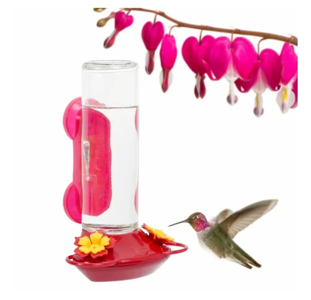 Perky-Pet® Window-Mounted Glass Hummingbird Feeder