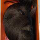 Hair Toppers for Women with Bangs 100% Human Hair 3603D Cover Fake Bangs Hair Topper with Thinning Newly Upgraded Realistic Scalp with Hairpieces for Daily Wear(Medium Brown) (Bangs-9 Inch)