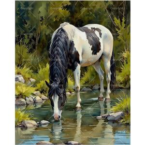 Animal Paint by Numbers Kit for Adults - DIY Horse at Forest Stream Painting on Canvas, Acrylic Paint Set, Suitable for Beginners, Art for Home Decoration or Gifts(8X12IN Framed)