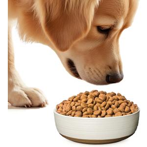 Ceramic Dog Bowl, Gift for Your Pet, Medium Water/Food Bowl, Microwave and Dishwasher Safe