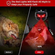 Predator Light Deterrent for Deer, Coyote, Fox, Raccoon, Skunk, Night Sentry for Chicken Coop, Garden, Yard & Farm Protection