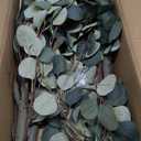 Liyarya 6FT Artificial Eucalyptus Tree with Wicker Basket & Black Pot, Indoor Green Faux Eucalyptus Trees, Fake Eucalyptus Plants with Lifelike Leaves & Natural Trunk for Home Office Bedroom, Pack of 1