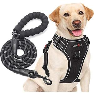 tobeDRI No Pull Dog Harness Adjustable Reflective Oxford Easy Control Medium Large Dog Harness with A Free Heavy Duty 5ft Dog Leash (M (Neck: 14.5"-20.5", Chest: 22"-28"), Black Harness+Leash)