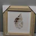 Art Framed Canvas Wall Art 18x18 Oceanum Shells