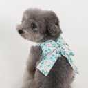 Pinkaholic New York Amabel Dog Harness Flower Pattern Fashionable Cute Spring Summer Harness for Small Dogs, Aqua, Small